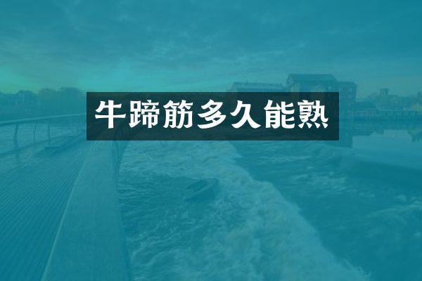 牛蹄筋多久能熟