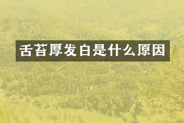 舌苔厚发白是什么原因