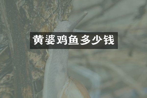 黄婆鸡鱼多少钱