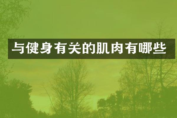 与健身有关的肌肉有哪些