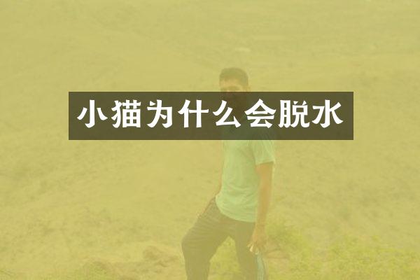 小猫为什么会脱水