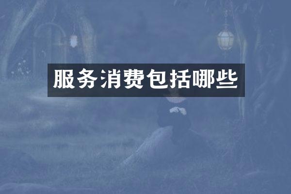 服务消费包括哪些