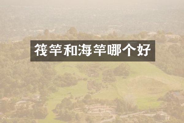 筏竿和海竿哪个好