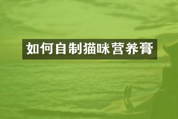 如何自制猫咪营养膏
