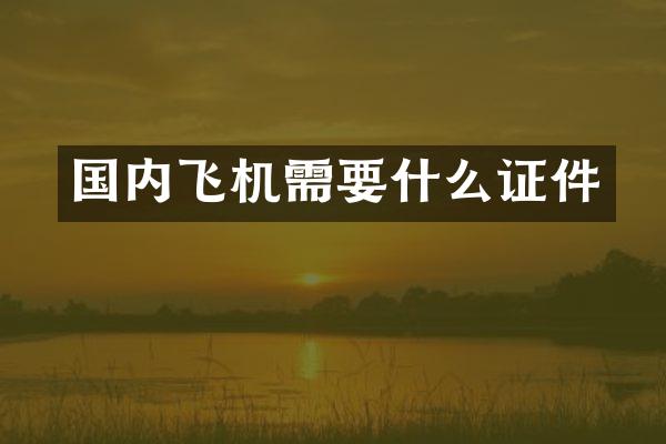 国内飞机需要什么证件