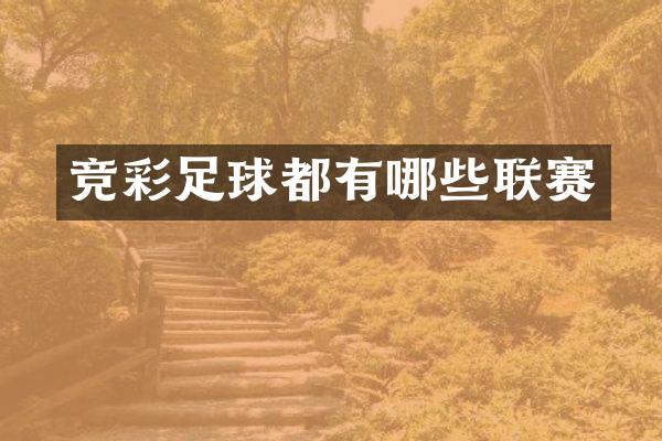 竞彩足球都有哪些联赛