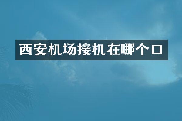 西安机场接机在哪个口