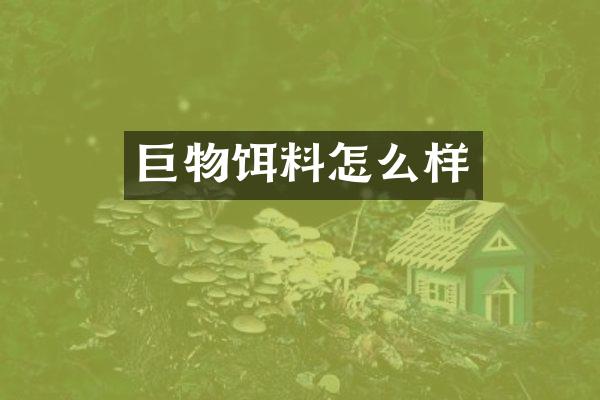 巨物饵料怎么样