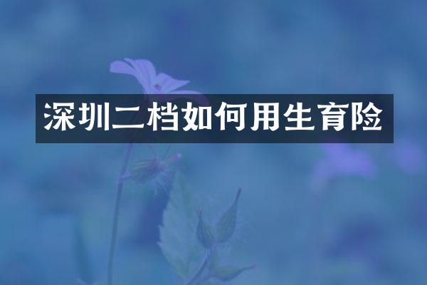 深圳二档如何用生育险