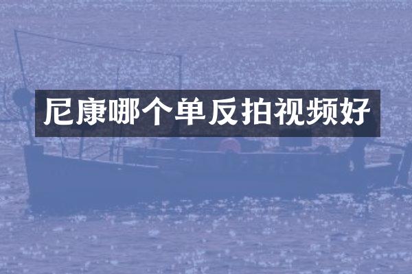 尼康哪个单反拍视频好