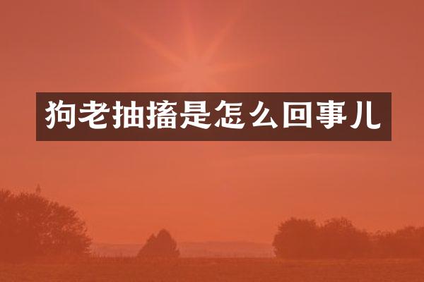 狗老抽搐是怎么回事儿