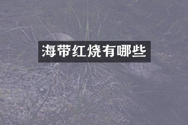 海带红烧有哪些