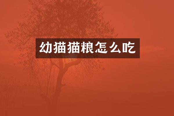幼猫猫粮怎么吃