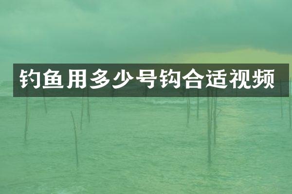 钓鱼用多少号钩合适视频