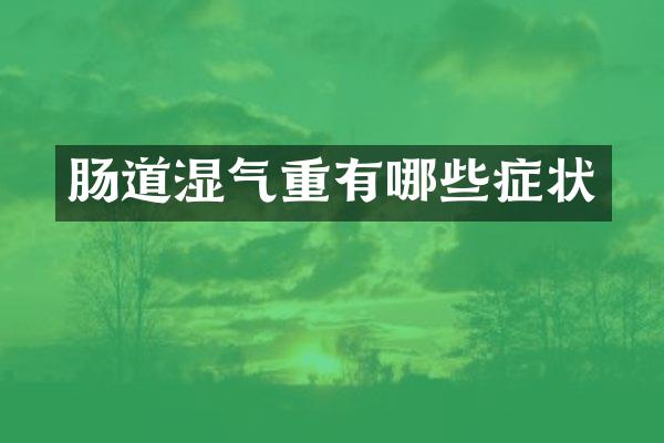 肠道湿气重有哪些症状