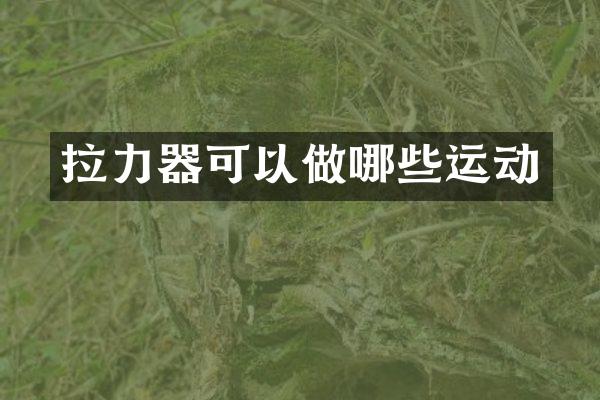 拉力器可以做哪些运动
