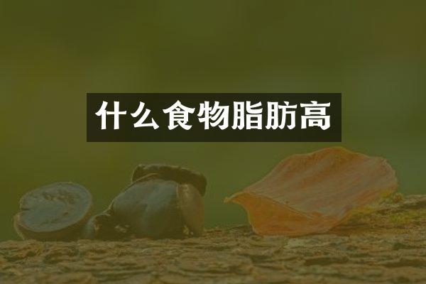 什么食物脂肪高