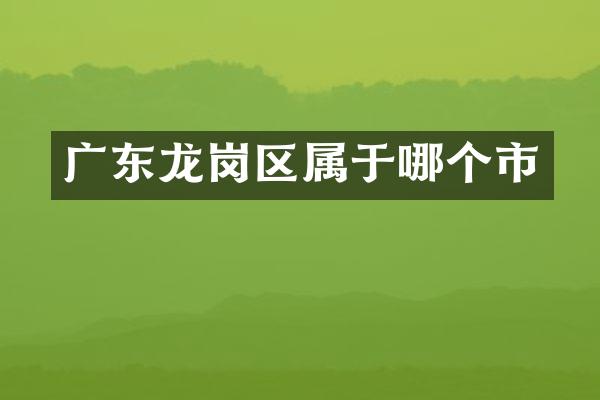 广东龙岗区属于哪个市