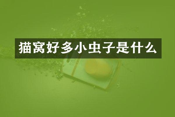 猫窝好多小虫子是什么