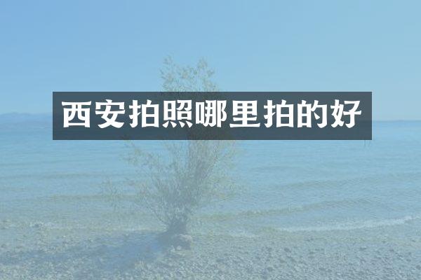 西安拍照哪里拍的好