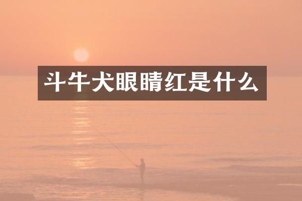 斗牛犬眼睛红是什么