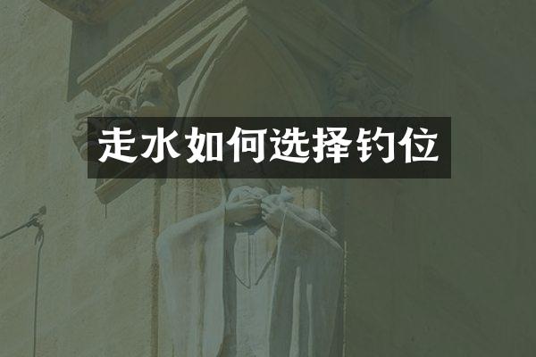 走水如何选择钓位
