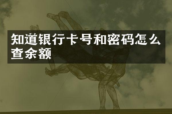 知道银行卡号和密码怎么查余额