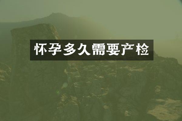 怀孕多久需要产检