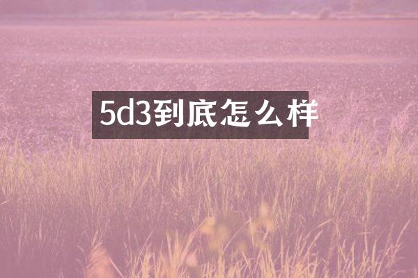 5d3到底怎么样