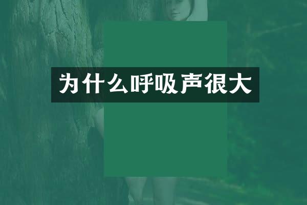 为什么呼吸声很大