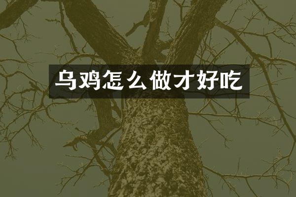 乌鸡怎么做才好吃