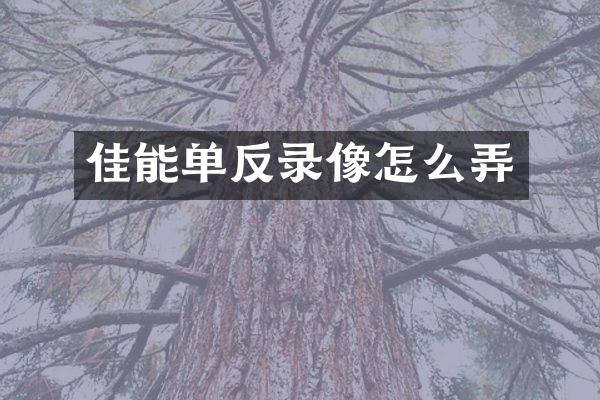 佳能单反录像怎么弄