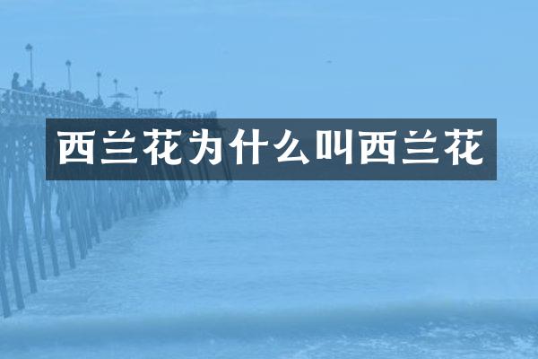 西兰花为什么叫西兰花