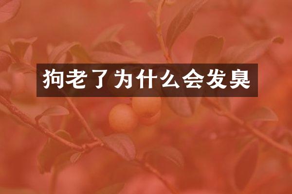 狗老了为什么会发臭