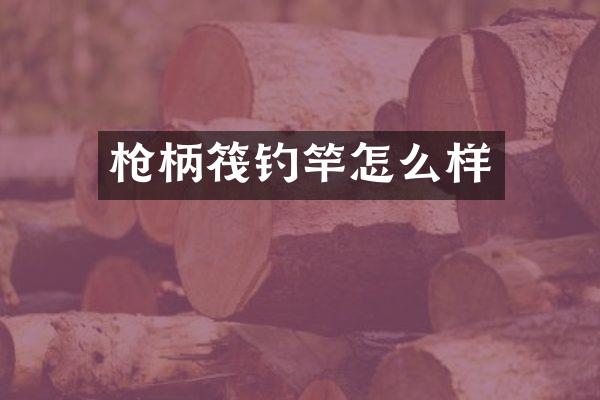 枪柄筏钓竿怎么样