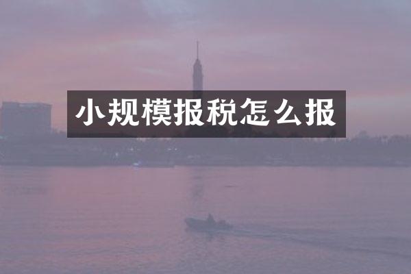 小规模报税怎么报