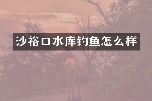 沙裕口水库钓鱼怎么样