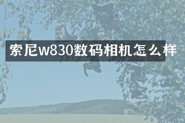 索尼w830数码相机怎么样