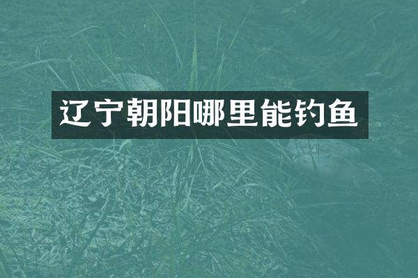 辽宁朝阳哪里能钓鱼