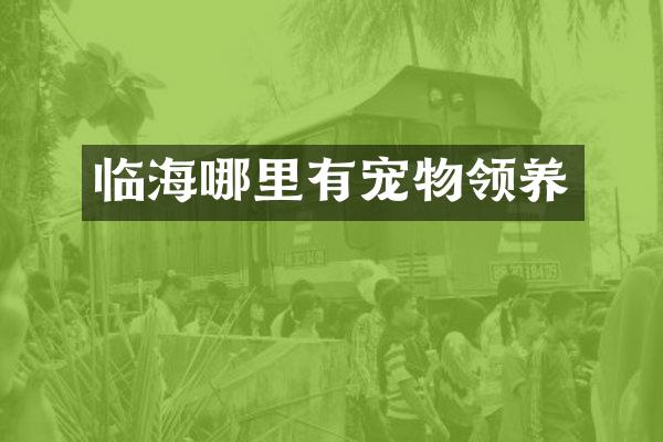 临海哪里有宠物领养