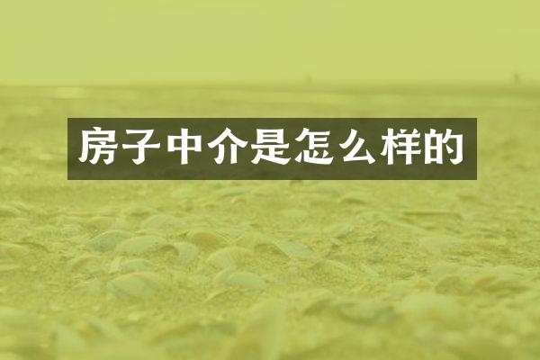 房子中介是怎么样的