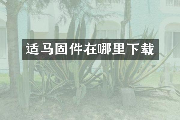 适马固件在哪里下载