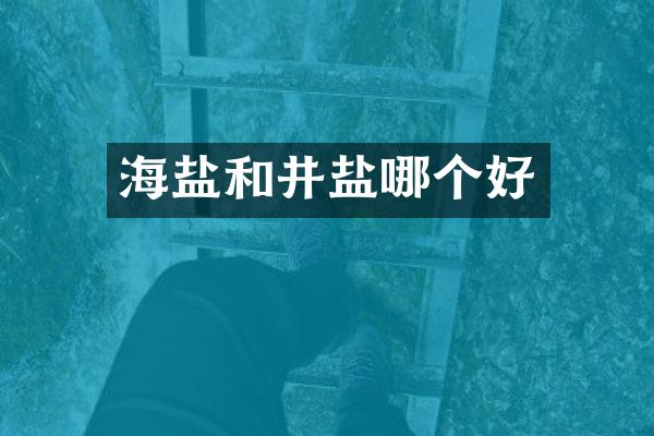 海盐和井盐哪个好