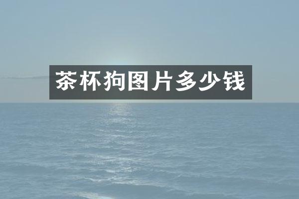 茶杯狗图片多少钱