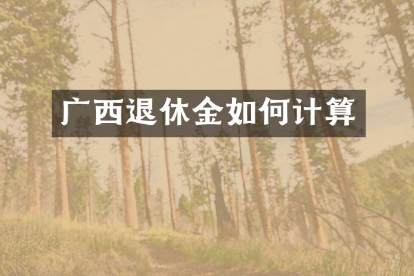 广西退休金如何计算