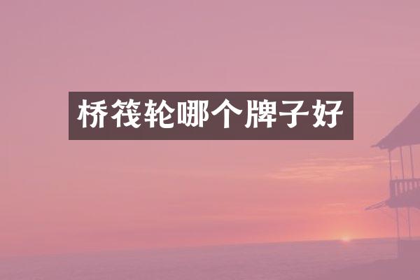 桥筏轮哪个牌子好