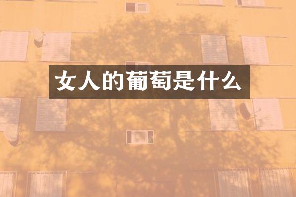 女人的葡萄是什么