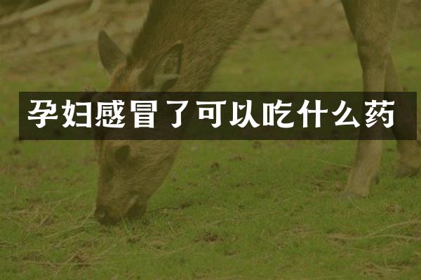 孕妇感冒了可以吃什么药