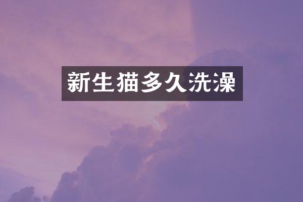 新生猫多久洗澡