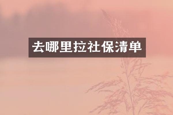 去哪里拉社保清单